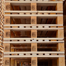 palette en bois tunisie